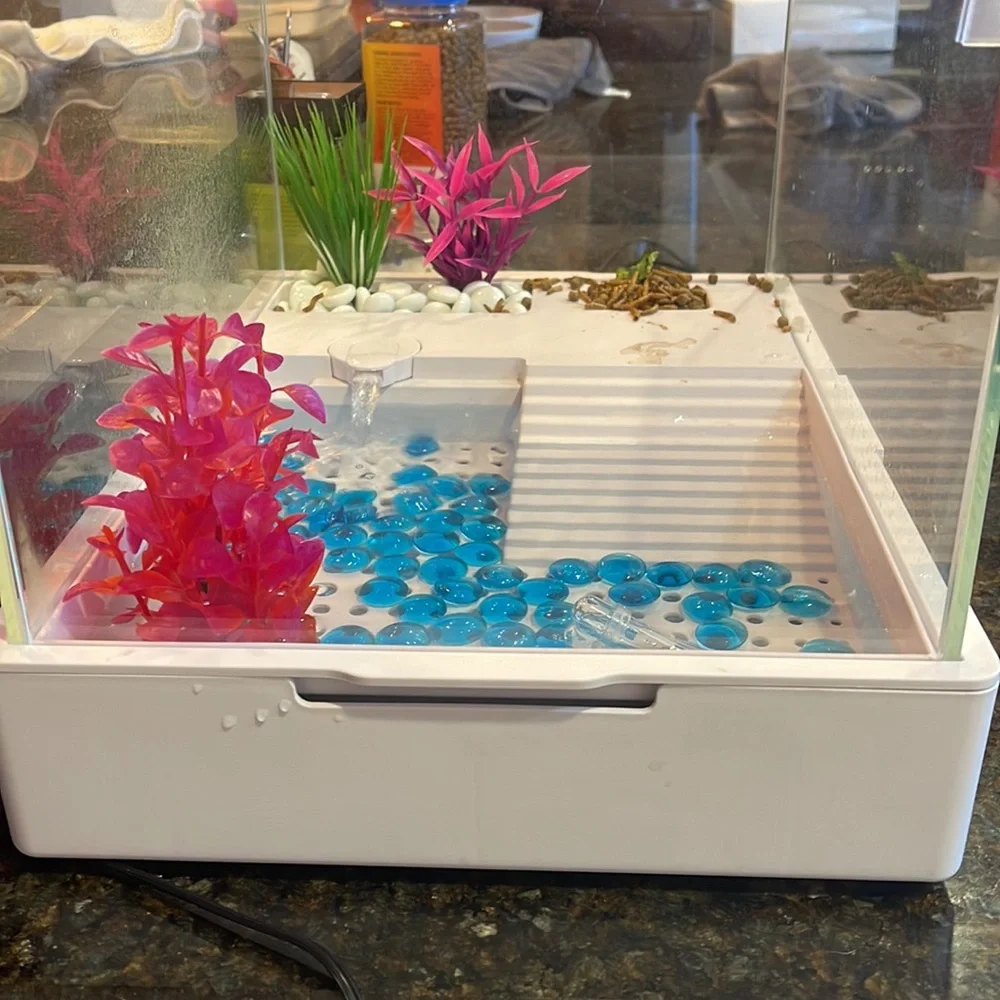 Small turtle tank. (Dimensions are on picture)